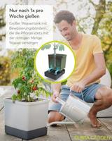Gusta Garden - Tom Tomato - Tomatenplantenbak met watertank - thumbnail