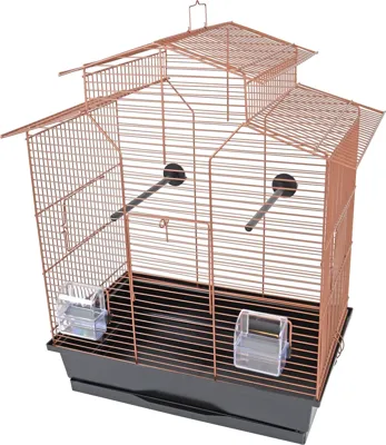 Interzoo vogelkooi Iza 2 koper/zwart Interzoo Gebr. de Boon - Gebr de boon Interzoo vogelkooi Iza 2 koper/zwart Interzoo Gebr. de Boon - Gebr de boon