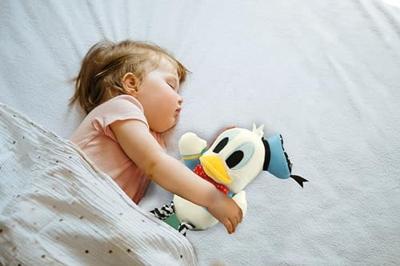 Clementoni donald duck activiteiten knuffel