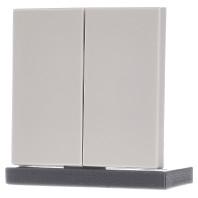 Jung LS995 Serieschakelaar, Serietoets Afdekking 2-voudig Crème-wit 1 stuk(s) - thumbnail