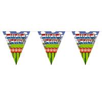 Vlaggenlijn welkom thuis - thumbnail