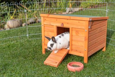 Trixie Kleindierhuis 60 x 47 x 50 cm