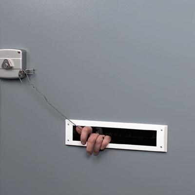 Secumax brievenbusbeveiliger - zilvergrijs