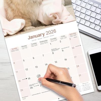 Pekingees Kalender 2026