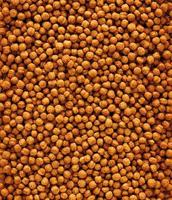 Versele-Laga Nutribird F16 vruchten- en insectenetende vogels 2 x 10 kg - thumbnail