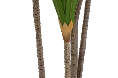 Decoratieve plant DKD Home Decor (80 x 80 x 180 cm)