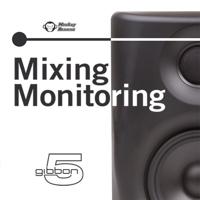 Monkey Banana Gibbon 5 Zwart - thumbnail