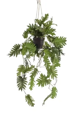 Philodendron hanging in pot 115 cm kunstplant Emerald - Emerald
