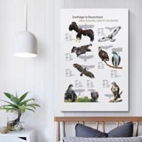 Samsung Galaxy A36 5G 128GB Smartphone Paars - thumbnail