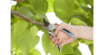 Gardena Comfort Aluminium Snoeischaar met Precisiebladen en Ergonomische Handvatten - 25 jaar garantie - thumbnail