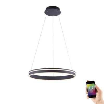 Paul Neuhaus Smart hanglampQ-Vito Ø 59cm zwart - 8411-13