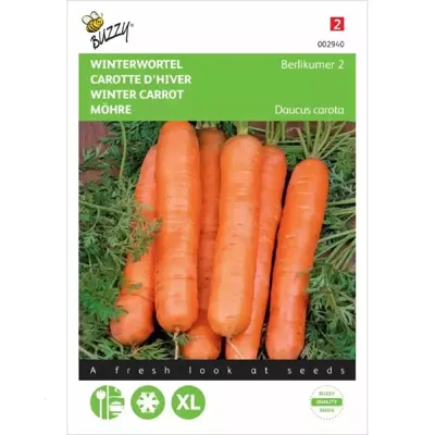Zaden Winterwortel Berlikumer 2 Buzzy - Buzzy