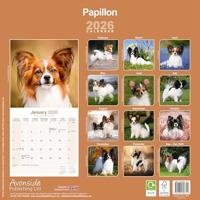 Papillon Kalender 2026 - thumbnail