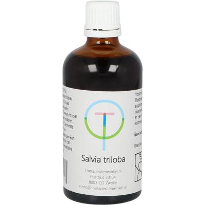 Therapeutenwinkel Salvia triloba 100 Milliliter Therapeutenwinkel Salvia triloba 100 Milliliter