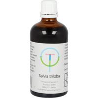 Therapeutenwinkel Salvia triloba 100 Milliliter - thumbnail