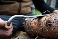 Kirschen 4000250 Trekmes - thumbnail