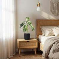 Alocasia Frydek Kunstplant Variegata 60cm - thumbnail