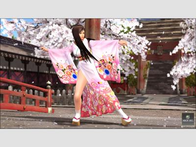 Dead or Alive 4 (classics)