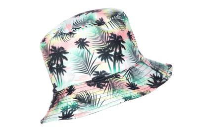 Vissershoedje Hawaii Palmbomen