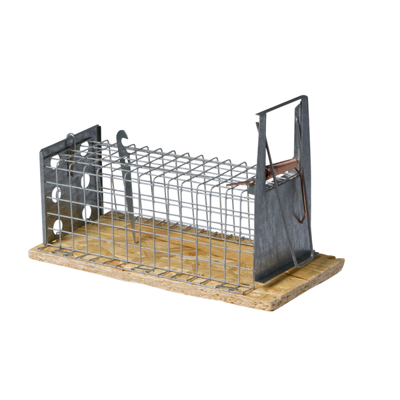 Muizenval inloop levend "Dura"