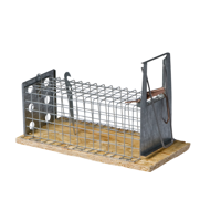 Muizenval inloop levend "Dura" - thumbnail