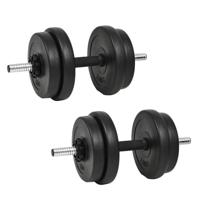 VidaXL Halterset 20 kg 14-delig - thumbnail