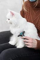 Trixie eye care reinigingspads voor ogen - thumbnail