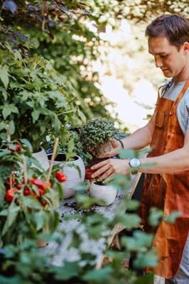 Vaas bol III Rib 17x14 ivoor Capi Nature - Capi europe