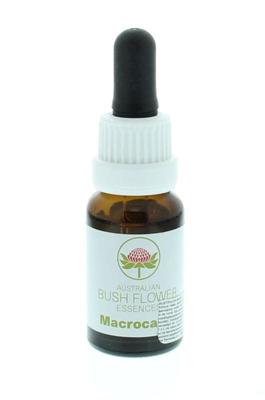Australian Bush Macrocarpa 15 Milliliter