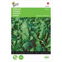 Spinazie Nores - thumbnail