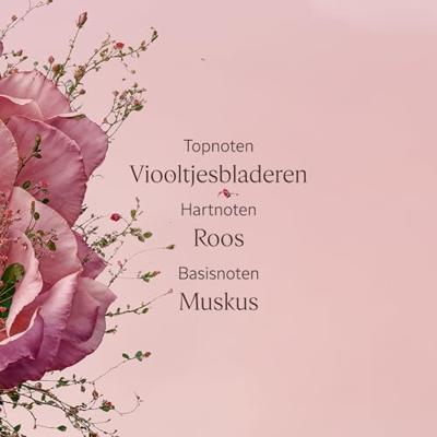 L'Occitane Rose Body Lotion 250 ml L'Occitane Rose Body Lotion 250 ml