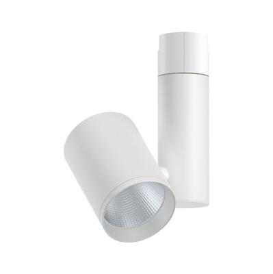 Paulmann URail Spot Zeus LED-railspot URail 35 W LED Wit Paulmann URail Spot Zeus LED-railspot URail 35 W LED Wit