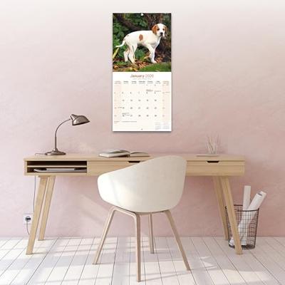 Pointer Kalender 2026 Pointer Kalender 2026