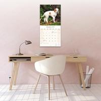 Pointer Kalender 2026 - thumbnail