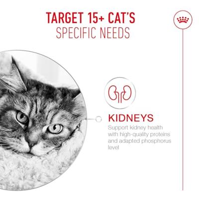 ROYAL CANIN Ageing 15+ - droog kattenvoer - 2kg