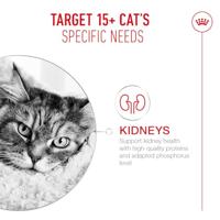 Royal Canin FHN Ageing 15+ kattenvoer 4 kilo - thumbnail