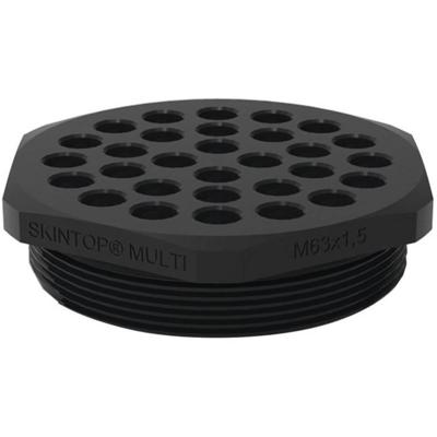LAPP SKINTOP® MULTI-M 63X1,5 / 30X2-6 MM Meervoudige kabeldoorvoerplaat 1 stuk(s)