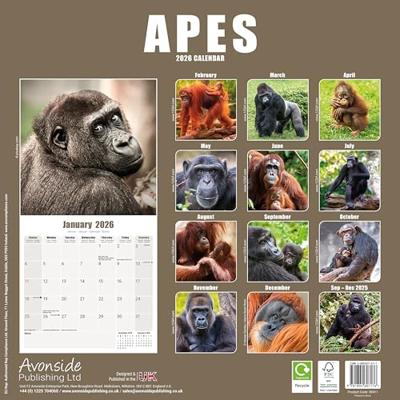Apen Kalender 2026