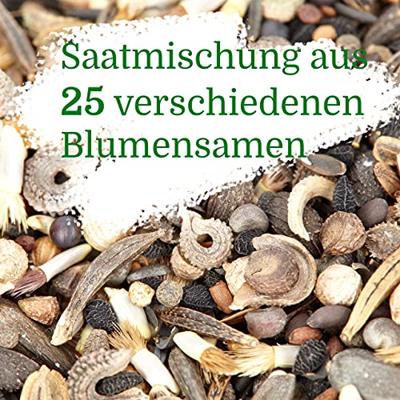 OwnGrown bijenweide bloemenmix 100g premium bijenzaden voor kleurrijke hommel- en bijenweiden bijenvriendelijke bloemzadenmix bloemenweidezaden - eenjarig en meerjarig