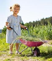 Rolly Toys Kruiwagen metaal roze/grijs - thumbnail