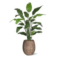 Traveller kunstpalm deluxe 150cm - thumbnail