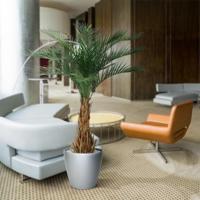 Phoenix kunstpalm deluxe 180cm - thumbnail