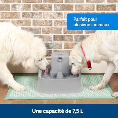 PETSAFE DRINKWELL BIG DOG FONTEIN 7,5 LTR 47 X 30,5 X 14 CM - thumbnail
