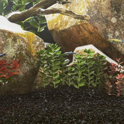 VidaXL Aquariumzand 10 kg 0,2-2 mm zwart VidaXL Aquariumzand 10 kg 0,2-2 mm zwart