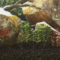 VidaXL Aquariumzand 10 kg 0,2-2 mm zwart - thumbnail