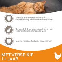 Iams Adult kattenvoer met verse kip 2 x 3 kg - thumbnail