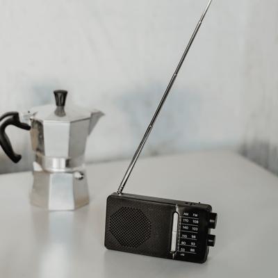Radio Sangean SR36B NEGRO Zwart - thumbnail