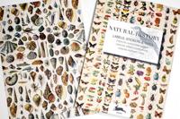 Natural History (Paperback) - thumbnail