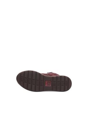 Ara 1224808 - alle Ara 1224808 - alle