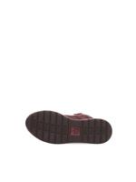 Ara 1224808 - alle - thumbnail